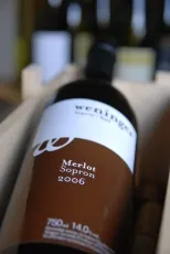 Merlot Merlot