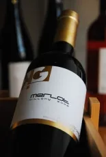 Merlot Merlot