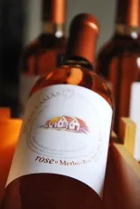 Merlot Rosé