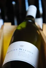 Mount Nelson, Marlborough Sauvignon Blanc Mount Nelson, Marlborough Sauvignon Blanc