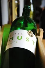 Must Must
