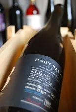 Nagy Palánt Furmint