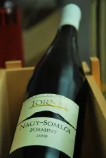 Nagy-Somlói Furmint