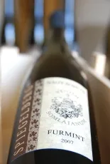 Nagy-Somlói Furmint