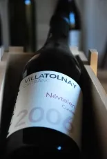 Névtelen Cuvée