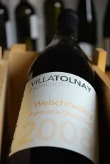 Panorama Olaszrizling