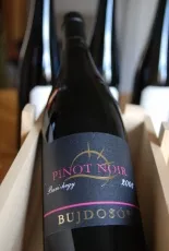 Pinot Noir Pinot Noir
