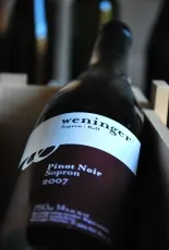 Pinot Noir