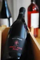Pinot Noir Rosé