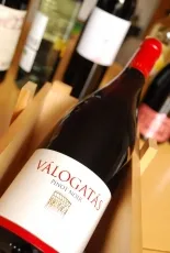 Pinot Noir Válogatás Pinot Noir Válogatás