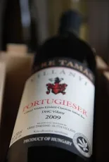 Portugieser