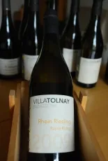 Rajnai Rizling