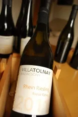 Rajnai Rizling