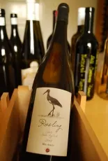 Riesling