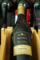Sachia Perricone Sachia Perricone