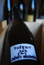 Sághegyi Furmint