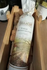 Sárgamuskotály