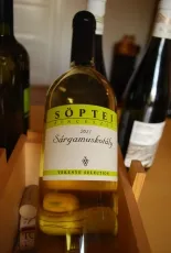 Sárgamuskotály Sárgamuskotály