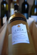 Sauvignon Blanc Sauvignon Blanc