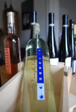 Sauvignon Blanc Sauvignon Blanc