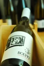 Sauvignon Blanc