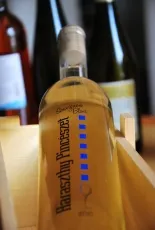 Sauvignon Blanc Sauvignon Blanc