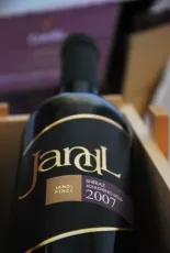 Shiraz Kohlenberg-dűlő