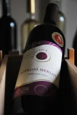 Soproni Merlot Soproni Merlot