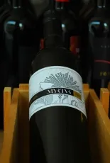 Tokaji Furmint Tokaji Furmint