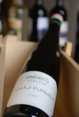 Tokaji Furmint