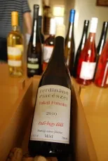 Tokaji Furmint Padi-hegy dűlő Tokaji Furmint Padi-hegy dűlő