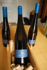 Tokaji Kövérszőlő Tokaji Kövérszőlő