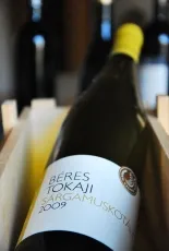 Tokaji Sárgamuskotály