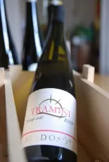 Tramini
