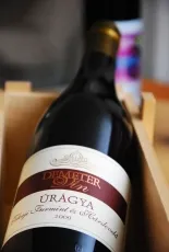 Úrágya