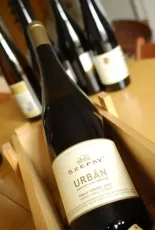 Urbán Furmint Urbán Furmint