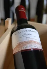 Villa Donoratico Bolgheri DOC