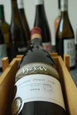 Vylyan Villányi Pinot Noir Vylyan Villányi Pinot Noir