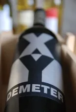 X Y